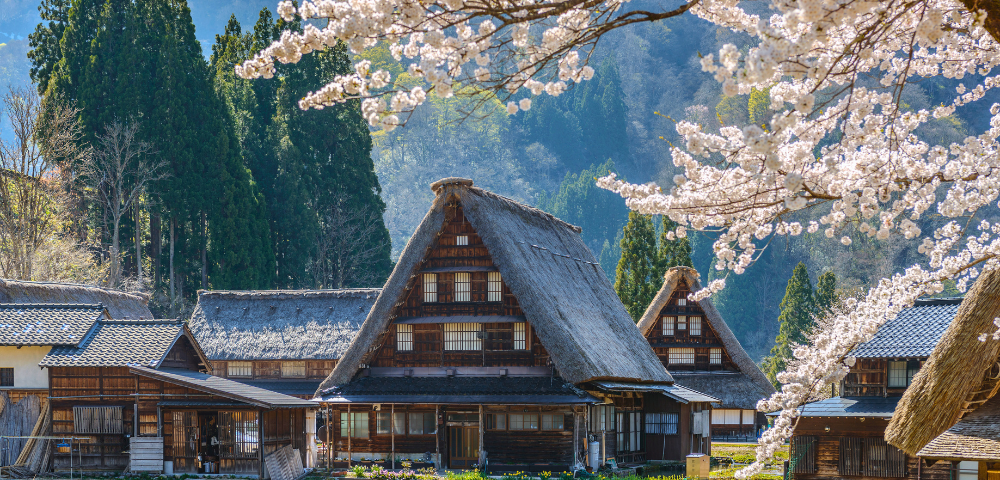 Best of Japan Main Image