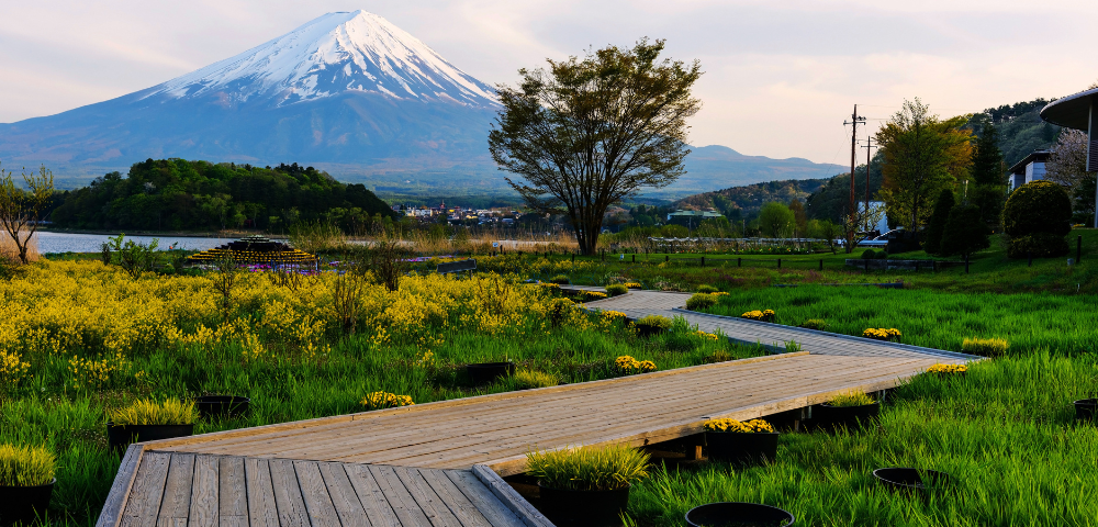 16 Day Best of Japan Small Group Tour Image 3