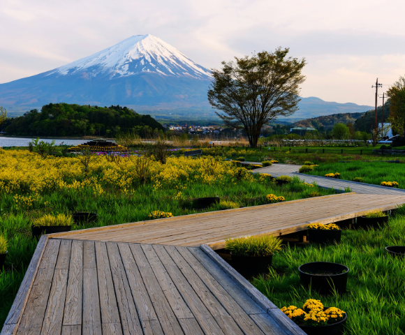 16 Day Best of Japan Small Group Tour Image 3