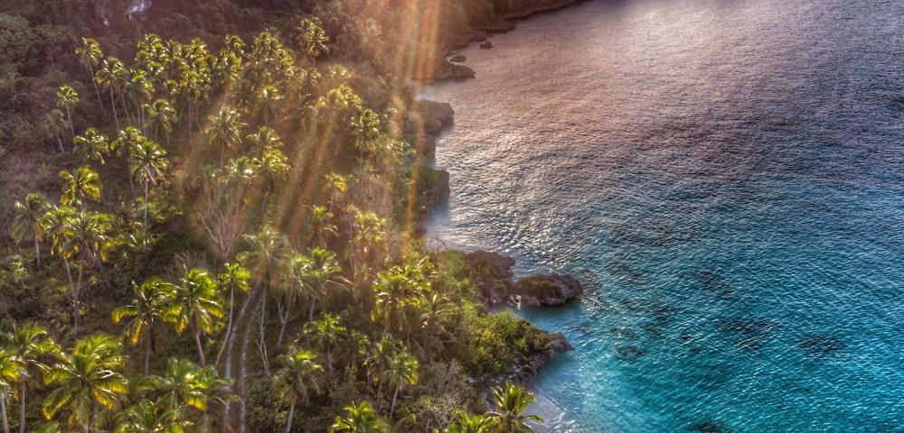 Aerial view of a lush tropical coastline, dotted with palm trees, turquoise water, and sunlight casting gentle rays over the landscape.