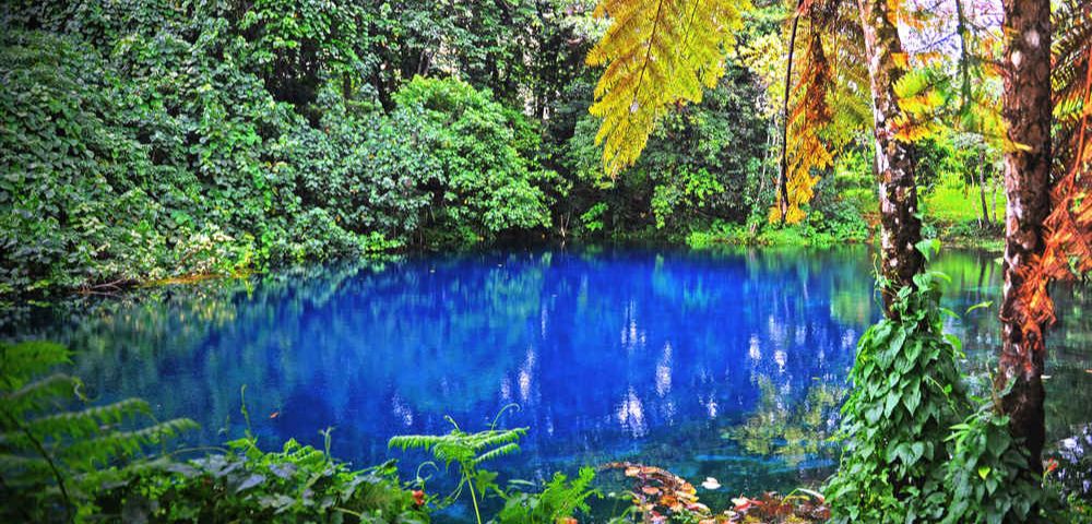 Exclusive Sunrise Resort Image 1