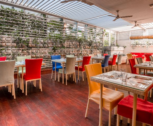Bright and inviting restaurant interior with colorful chairs and tables, greenery on the walls, and ample natural light.