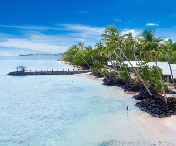 Tropical beach scene with palm trees, a wooden pier, and clear blue waters, showcasing a serene and inviting island resort atmosphere.