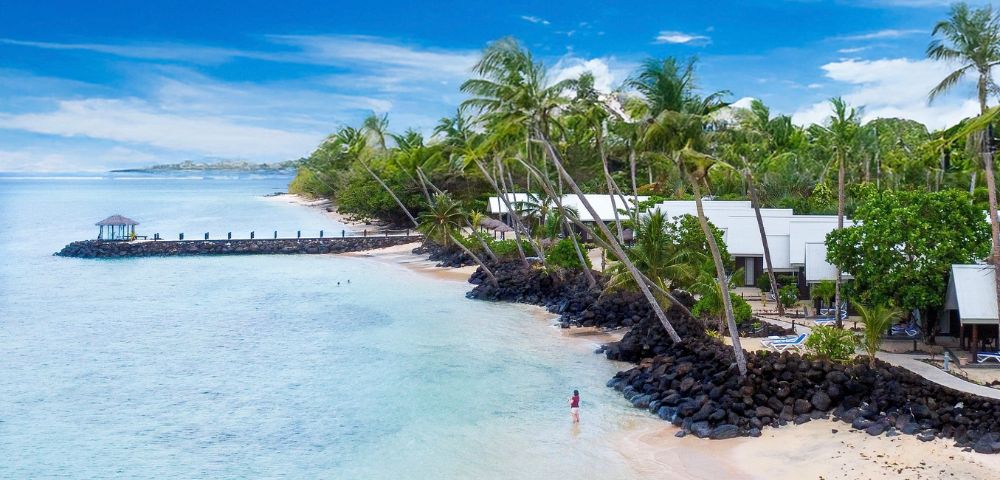 Tropical beach scene with palm trees, a wooden pier, and clear blue waters, showcasing a serene and inviting island resort atmosphere.