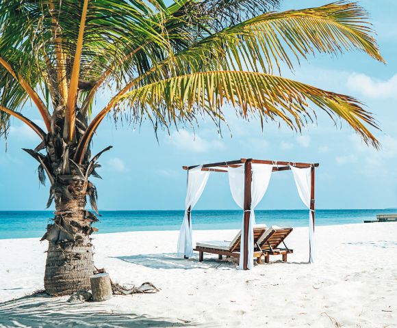 A tranquil beach scene featuring a wooden cabana with white drapes and two loungers under a palm tree by the blue ocean.