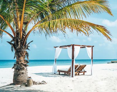 A tranquil beach scene featuring a wooden cabana with white drapes and two loungers under a palm tree by the blue ocean.