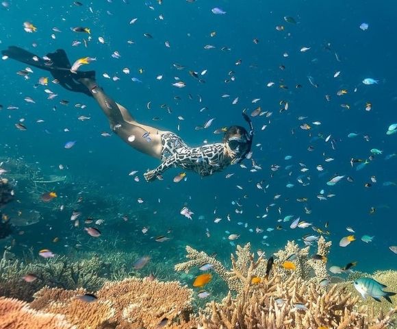 A diver gracefully swims among colorful fish and vibrant coral reefs in clear blue waters.