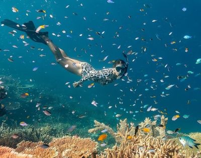 A diver gracefully swims among colorful fish and vibrant coral reefs in clear blue waters.