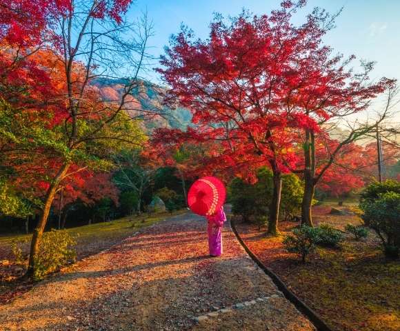 Ultra Luxury Autumn Japan Voyage 2027 - Hero Image