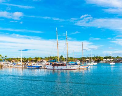 A vibrant marina scene with a large white sailboat docked, surrounded by smaller boats, lush palm trees, and a bright blue sky.