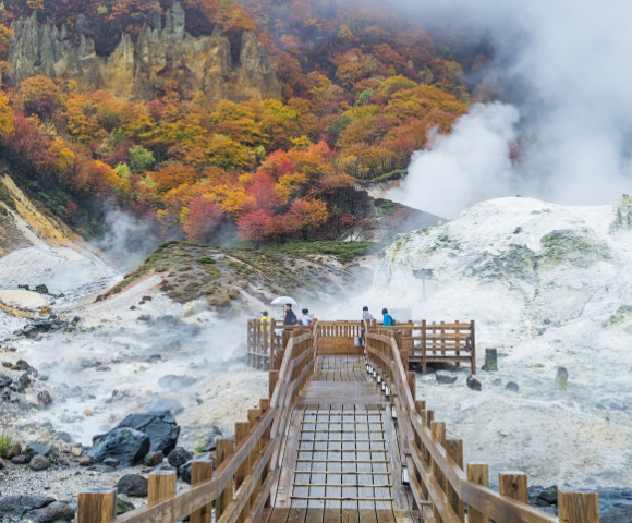 12 Day Hokkaido to Tokyo Northern Explorer Main Image
