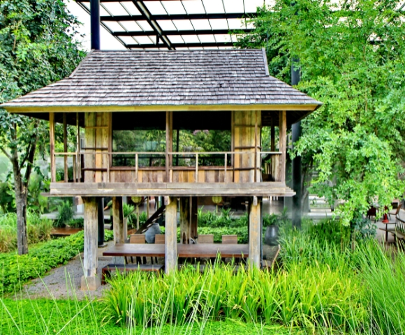 A wooden treehouse surrounded by lush greenery and plants, with a modern structure visible in the background.