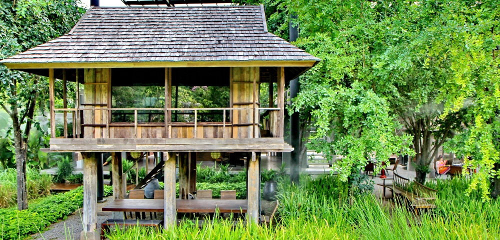 A wooden treehouse surrounded by lush greenery and plants, with a modern structure visible in the background.