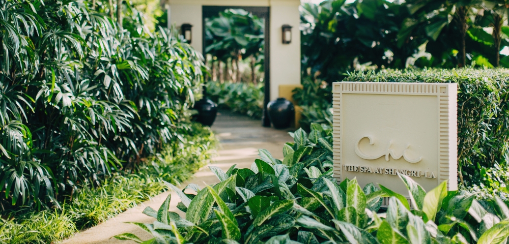 A serene entrance to a wellness retreat, framed by lush greenery, with a sign displaying 