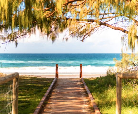A wooden path leads through greenery to a serene beach with gentle waves under a clear blue sky.