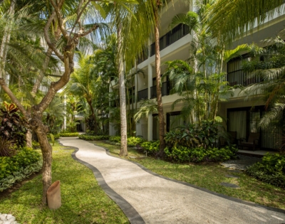 Lush tropical pathway winding between resort buildings, lined with palm trees and vibrant greenery under bright sunlight.