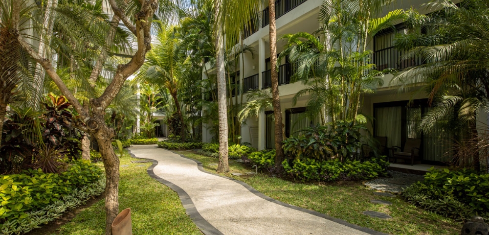 Lush tropical pathway winding between resort buildings, lined with palm trees and vibrant greenery under bright sunlight.