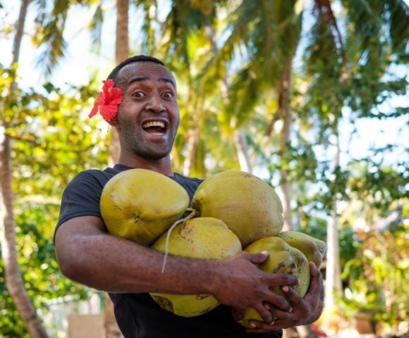 A person stands outdoors, cradling several large, green coconuts amidst a lush, tropical backdrop of palm trees.