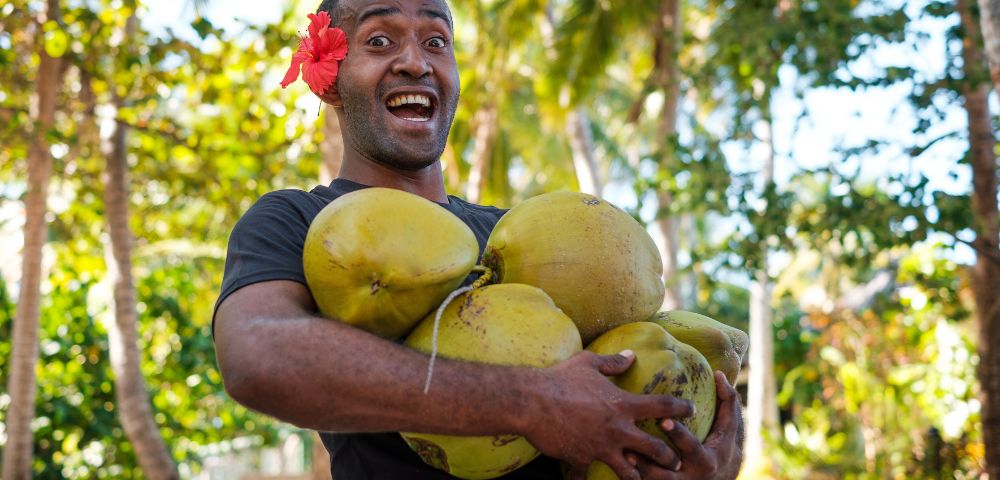 A person stands outdoors, cradling several large, green coconuts amidst a lush, tropical backdrop of palm trees.