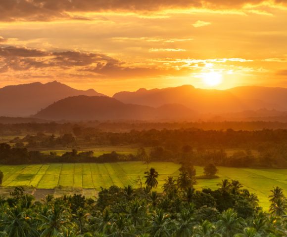 A breathtaking sunset over lush green fields and distant mountains, casting warm golden hues across the landscape.
