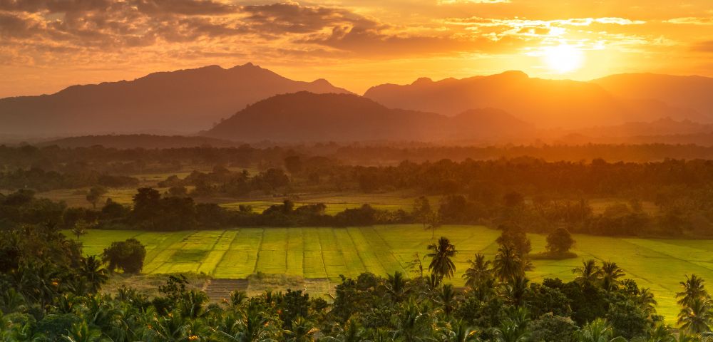A breathtaking sunset over lush green fields and distant mountains, casting warm golden hues across the landscape.