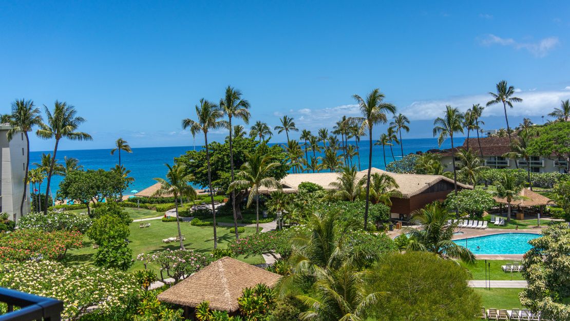 Print Stylesheet Image