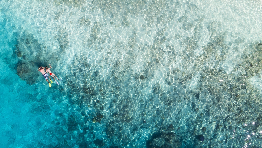 An aerial view of two snorkelers exploring clear turquoise waters, revealing rocky seabeds and vibrant marine life below.