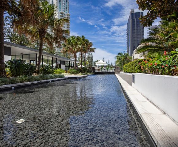 A serene landscape featuring a reflective pool surrounded by tropical plants, modern architecture, and towering palm trees under a blue sky.