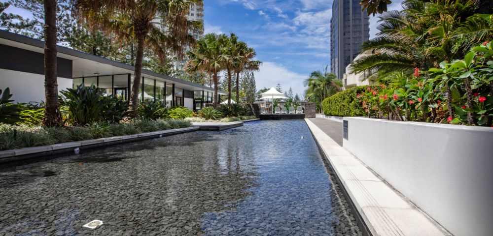 A serene landscape featuring a reflective pool surrounded by tropical plants, modern architecture, and towering palm trees under a blue sky.