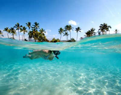 A person wearing a snorkel swims in clear, blue water near the surface, with palm trees and a sunny sky visible in the background.