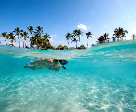 A person wearing a snorkel swims in clear, blue water near the surface, with palm trees and a sunny sky visible in the background.