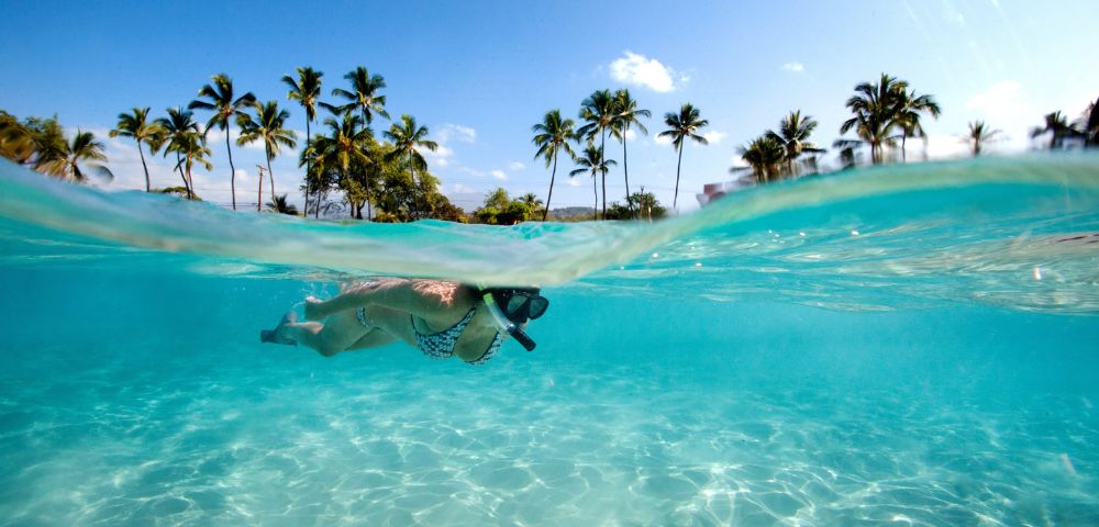 A person wearing a snorkel swims in clear, blue water near the surface, with palm trees and a sunny sky visible in the background.