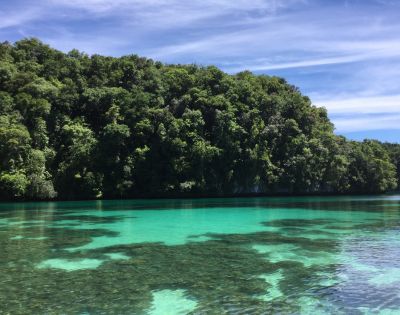 Tropical coastline with lush green vegetation reflecting on crystal-clear turquoise waters beneath a bright blue sky.
