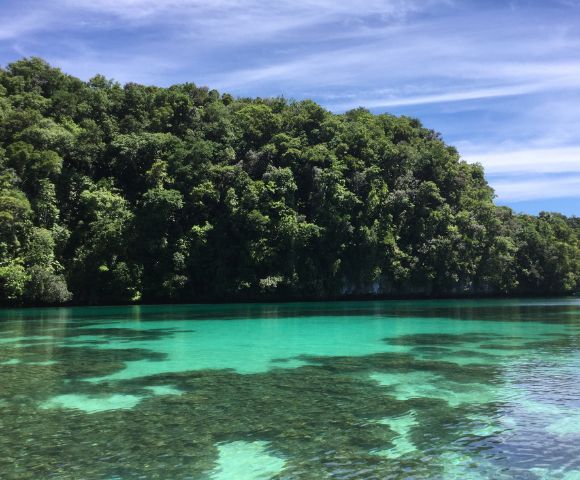 Tropical coastline with lush green vegetation reflecting on crystal-clear turquoise waters beneath a bright blue sky.