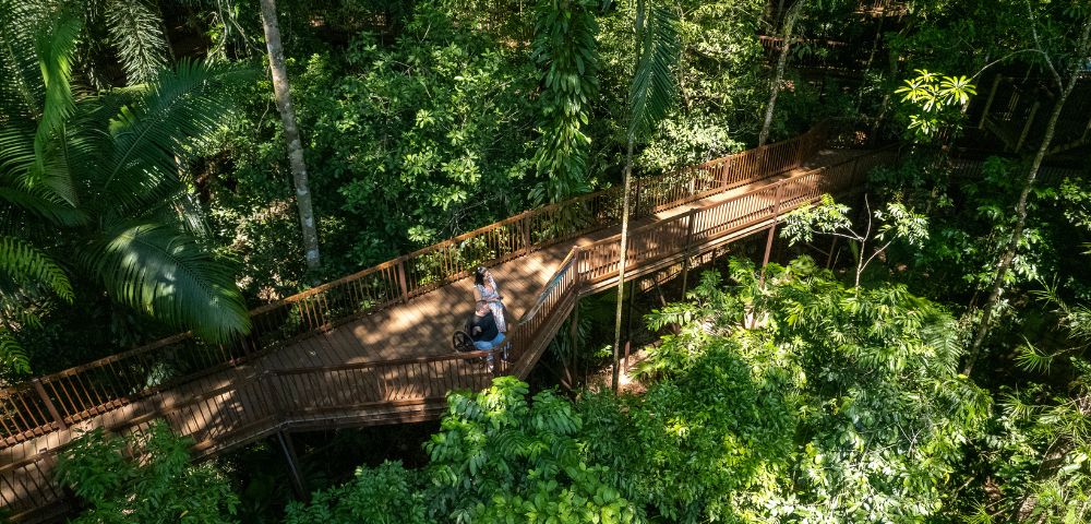 A wooden walkway winds through dense green foliage in a forest, with two people positioned on the path