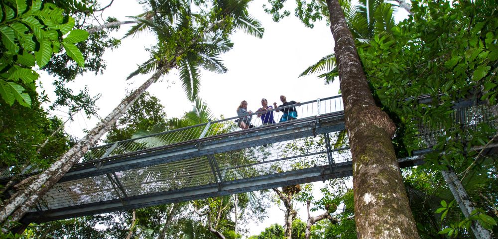 A group of people is gathered on a bridge, surrounded by lush vegetation and trees typical of a rainforest setting. The sky above them indicates an outdoor environment, enhancing the natural beauty of the scene. The bridge likely provides a vantage point to appreciate the surrounding jungle and forest.