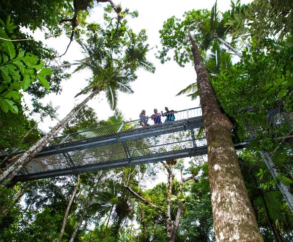 A group of people is gathered on a bridge, surrounded by lush vegetation and trees typical of a rainforest setting. The sky above them indicates an outdoor environment, enhancing the natural beauty of the scene. The bridge likely provides a vantage point to appreciate the surrounding jungle and forest.
