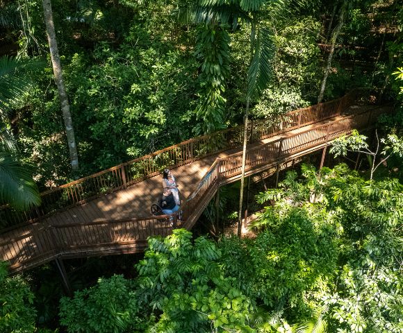 A wooden walkway winds through dense green foliage in a forest, with two people positioned on the path