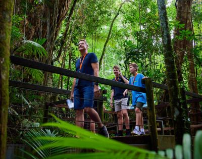 A group of people is walking on a bridge in a wooded area. The scene depicts individuals dressed for outdoor activities, such as hiking, with some wearing shorts. Surrounding them are trees and lush greenery typical of a forest or jungle environment, creating a tranquil vacation atmosphere.