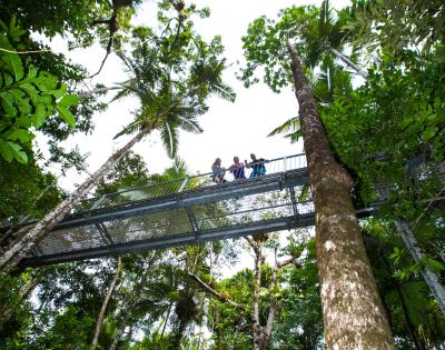 A group of people is gathered on a bridge, surrounded by lush vegetation and trees typical of a rainforest setting. The sky above them indicates an outdoor environment, enhancing the natural beauty of the scene. The bridge likely provides a vantage point to appreciate the surrounding jungle and forest.