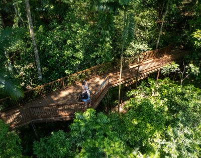 A wooden walkway winds through dense green foliage in a forest, with two people positioned on the path