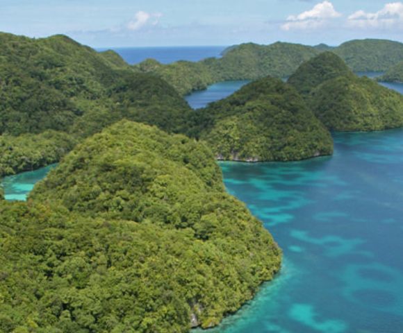 Lush tropical paradise, where emerald-green forested hills meet the crystal-clear turquoise waters of the sea.