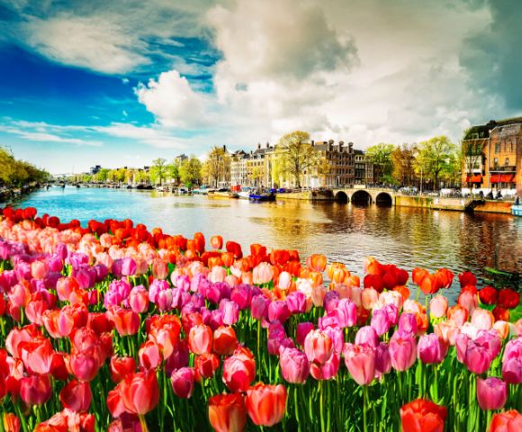 The image showcases a vibrant scene along a canal in Amsterdam, featuring a foreground of colorful tulips in shades of red, pink, and orange, with historic buildings and trees reflected in the calm water under a partly cloudy sky.