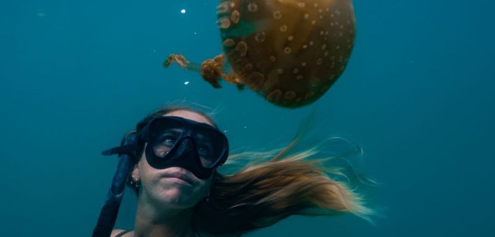 A swimmer explores underwater, with a large jellyfish gracefully drifting nearby in clear blue waters.