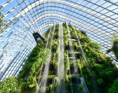 Alt text: Lush indoor waterfall cascades down a vertical garden within a sunlit glass dome, creating a refreshing, natural oasis atmosphere.