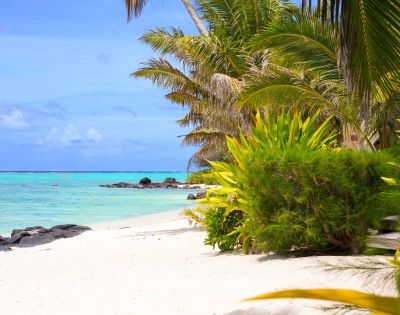 Tropical beach scene with palm trees, lush greenery, and clear turquoise waters under a blue sky, creating a serene paradise.