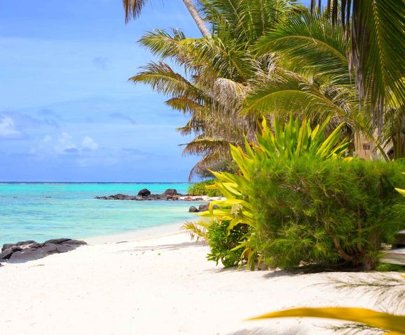 Tropical beach scene with palm trees, lush greenery, and clear turquoise waters under a blue sky, creating a serene paradise.