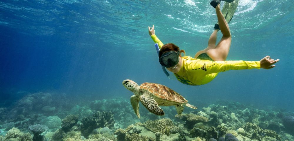 A snorkeler in a yellow wetsuit swims alongside a sea turtle over a vibrant coral reef. The scene conveys a sense of serenity and connection with nature.