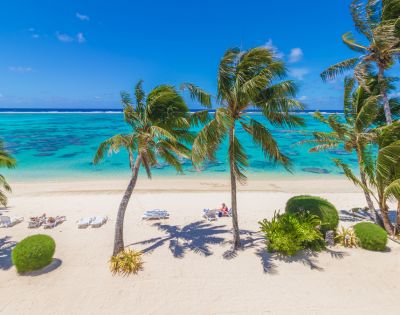 Sunny beach scene with turquoise water, white sand, and swaying palm trees. People relax on lounge chairs, conveying a peaceful, tropical vibe.