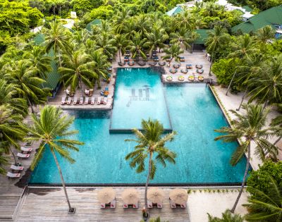 Aerial view of a tropical resort with two large, blue swimming pools surrounded by lush palm trees. Lounge chairs and umbrellas line the pool deck. Relaxing atmosphere.